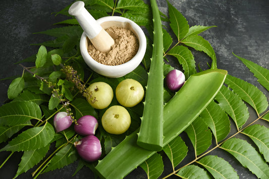 5 Best Herbal Remedies for Split Ends and Hair Breakage | Vedima - Vedima